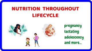 Nutrition Throughout the Lifecycle [upl. by Ilocin]