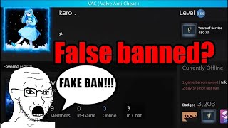 False banned in CS2 [upl. by Yesnil807]