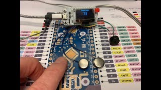 ESP32 NTP Temperature Probe Cooking Thermometer With SteinhartHart Correction [upl. by Maletta]