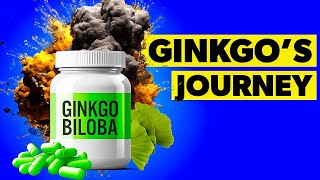 What Are the Benefits of Ginkgo Biloba Supplements [upl. by Dnalro893]