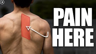 Rhomboid Pain Shoulder Blade Discomfort [upl. by Terrene]