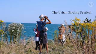 Events The Urban Birding Festival [upl. by Margret320]