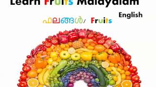 Learn Malayalam Fruits name through English ഫലങ്ങൾ Fruitswith Videos and Colourful Pictures [upl. by Suirad543]