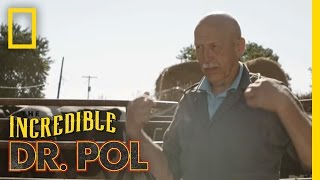 Official Trailer   The Incredible Dr Pol [upl. by Himelman974]