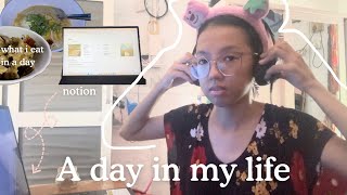 A day in my life Sunday Vlog Update Notion 🍒 [upl. by Alolomo]