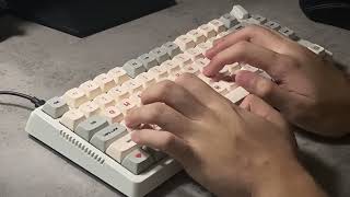 Ultimate Modded Keyboard Sound Test RKH81  Thoccy Typing ASMR [upl. by Jessey]