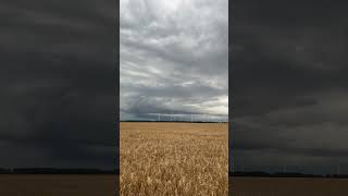 Fette Shelfcloud bei Titz  Jackerath vom 9724 gewitter unwetter shelfcloud stormchasing [upl. by Nivart]