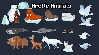 EngArctic animal  8bit [upl. by Svetlana]