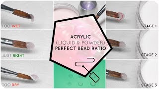 Perfect your Acrylic Bead Ratio  Liquid and Powder [upl. by Bautram]