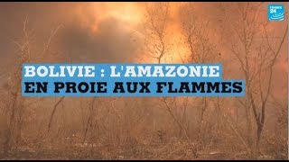 LAmazonie bolivienne en proie aux flammes [upl. by Earas]