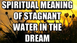 Stagnant water meaning dream [upl. by Bruis]