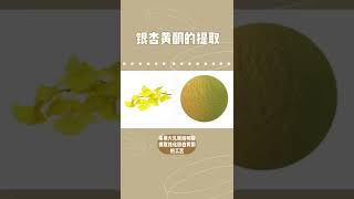 Ginkgo Biloba Flavonoid Extract [upl. by Aserehtairam]