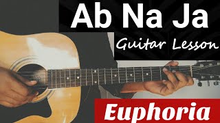 Ab Na Ja Guitar Chords Lesson  Euphoria  Dr Palash Sen [upl. by Teeniv166]