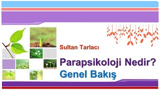 Parapsikoloji ve Duyular Dışı Algı Bilimsel Veriler [upl. by England]