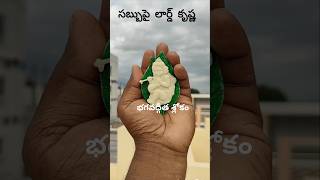 భగవద్గీత సారాంశ శ్లోకం శ్రీకృష్ణ భగవానుడికి shorts [upl. by Hassett]