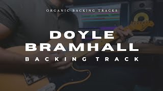 Doyle Bramhall Backing Track D  Organic Backing Tracks [upl. by Georg]