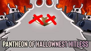 Pantheon of Hallownest Hitless [upl. by Ennayt]