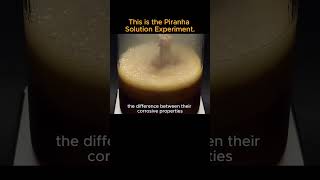 This is the Piranha Solution Experimentscience shortsvideo piranhasolution experiment [upl. by Yremogtnom162]