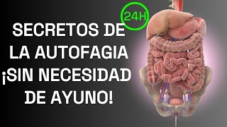 Nuevos estudios revelan cómo activar la autofagia sin ayuno 5 métodos efectivos [upl. by Renaxela]