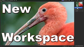 Whats NEW in Topaz Photo AI Significant Workspace Changes [upl. by Ymassej]