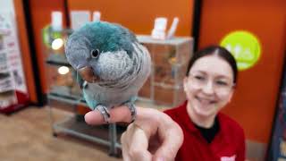 Petland Jingle Singing Commercial  30 seconds [upl. by Hattie]