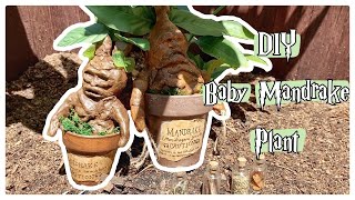 DIY Mandrake Plant from Harry Potter [upl. by Lipcombe979]