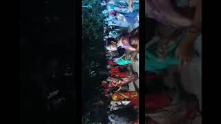 Ma colony lo celebration kancharolesina kallaku kanchu ungaralu song [upl. by Yevoc]