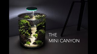 MINI CANYON in a 2L vase aquascape no filter no co2 fish tank shrimp vase [upl. by Ailasor419]