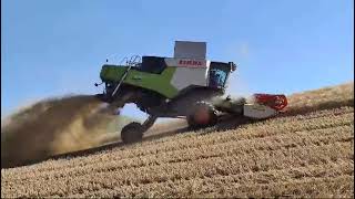 Claas TRION 540 con cressoni 720  Claas TUCANO 430 con cressoni 660 By Andrea Di Cillo [upl. by Sellihca]