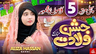 Rabi Ul Awal Kalams  By Aliza Hasan Qadri  Medly  2024 Track [upl. by Ahsieym582]