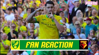 ‘We’re good enough for the playoffs’  Fan Reaction  Norwich City 41 Watford  The Pink Un [upl. by Odoric]