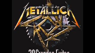 METALLICA 30 GRANDES EXITOS [upl. by Initof]