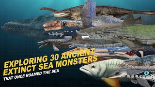 Exploring 30 Ancient Extinct Sea Monsters That Once Roamed the Sea [upl. by Martijn]