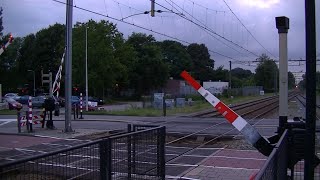 Spoorwegovergang DriebergenZeist  Dutch railroad crossing [upl. by Todhunter]