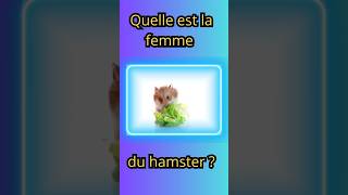 Quelle est la femme du hamster [upl. by Ed]