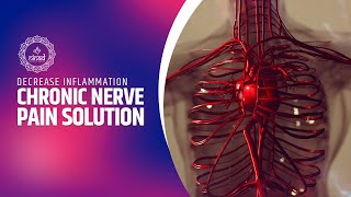 Chronic Nerve Pain Solution  Decrease Inflammation Revive Body In 2 Minutes  Calming Tones [upl. by Eerdua]