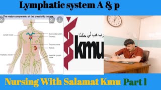 Lymphatic system Anatomy and physiology part l for nursing amp medical Students [upl. by Noterb947]