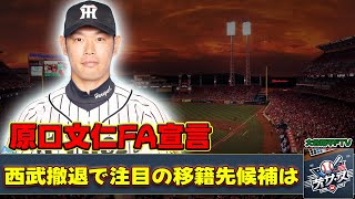 【野球】 原口文仁FA宣言！西武撤退で注目の移籍先候補は原口文仁 西武 FA戦線 阪神 移籍先 中日 広島 楽天 オリックス [upl. by Issac67]