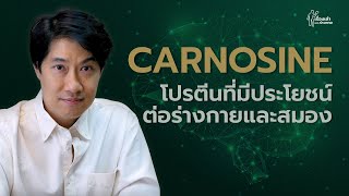 Carnosine โปรตีนที่มีประโยชน์ต่อร่างกายและสมอง [upl. by Oyr126]