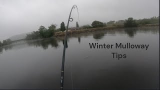 How to Catch Winter Mulloway Jewfish  Shoalhaven River [upl. by Bendite521]