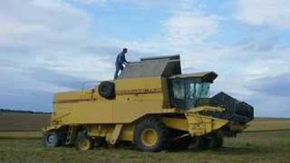 Moisson de la fétuque avec une New Holland [upl. by Neumeyer652]