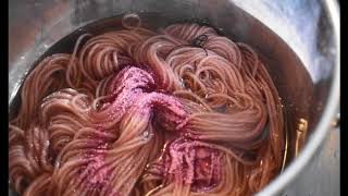 Magic with Brazilwood Natural dyeing [upl. by Yrellav]