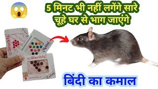 बिना मारे 5 मिनट में घरेलू तरीके से भगाए चूहे 😱 kitchen tips  chuhe bhagane ka aasan tarika [upl. by Deana807]