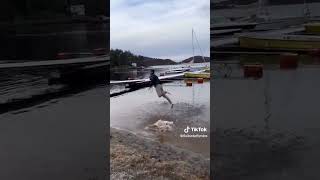 Guy jumps in a lake fully clothed [upl. by Giah]