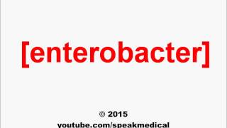 Pronounce Enterobacter  SpeakMedical [upl. by Thornburg508]