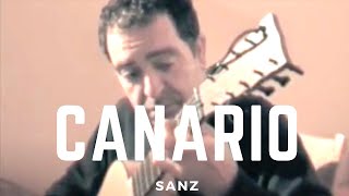 canario Gaspar Sanz Xavier DíazLatorre baroque guitar [upl. by Ihn]