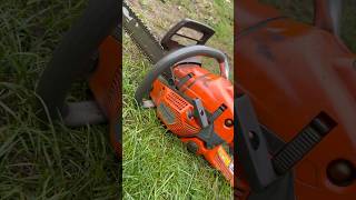 Husqvarna 560 XP brennholz husqvarna chainsaw motorsäge kettensäge [upl. by Cassy]