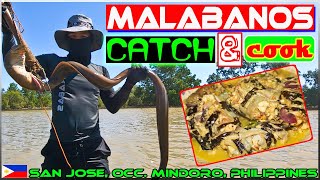 EP34  Malabanos Eel Catch and Cook [upl. by Nai]