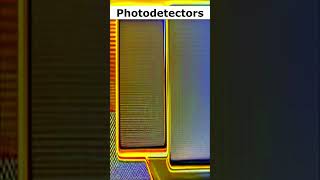 Photodetectors [upl. by Asiilanna]