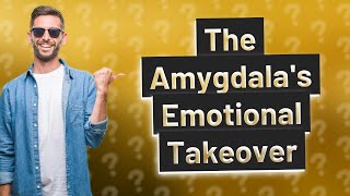 How Does an Amygdala Hijack Affect Our Emotions [upl. by Korff]